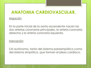 ANATOMIA CARDIOVASCULAR.<br />Irrigación<br />En la parte inicial de la aorta ascendente nacen las dos arterias coronarias...