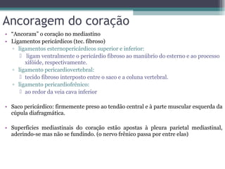 • “Ancoram” o coração no mediastino
• Ligamentos pericárdicos (tec. fibroso)
▫ ligamentos esternopericárdicos superior e inferior:
 ligam ventralmente o pericárdio fibroso ao manúbrio do esterno e ao processo
xifóide, respectivamente.
▫ ligamento pericardiovertebral:
 tecido fibroso interposto entre o saco e a coluna vertebral.
▫ ligamento pericardiofrênico:
 ao redor da veia cava inferior
• Saco pericárdico: firmemente preso ao tendão central e à parte muscular esquerda da
cúpula diafragmática.
• Superficies mediastinais do coração estão apostas à pleura parietal mediastinal,
aderindo-se mas não se fundindo. (o nervo frênico passa por entre elas)
Ancoragem do coração
 