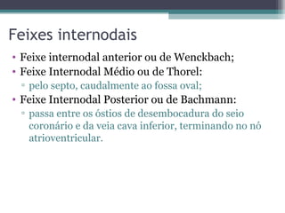 Feixes internodais
• Feixe internodal anterior ou de Wenckbach;
• Feixe Internodal Médio ou de Thorel:
▫ pelo septo, caudalmente ao fossa oval;
• Feixe Internodal Posterior ou de Bachmann:
▫ passa entre os óstios de desembocadura do seio
coronário e da veia cava inferior, terminando no nó
atrioventricular.
 