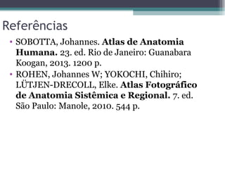 Referências
• SOBOTTA, Johannes. Atlas de Anatomia
Humana. 23. ed. Rio de Janeiro: Guanabara
Koogan, 2013. 1200 p.
• ROHEN, Johannes W; YOKOCHI, Chihiro;
LÜTJEN-DRECOLL, Elke. Atlas Fotográfico
de Anatomia Sistêmica e Regional. 7. ed.
São Paulo: Manole, 2010. 544 p.
 