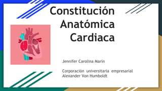 Constitución
Anatómica
Cardiaca
Jennifer Carolina Marín
Corporación universitaria empresarial
Alexander Von Humboldt
 