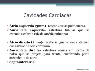 Cavidades Cardíacas
• Átrio esquerdo (3mm)- recebe 4 veias pulmonares.
Auriculeta esquerda- estrutura tubular que se
estende e cobre a raiz da artéria pulmonar
• Átrio direito (2mm)- recebe sangue venoso sistêmico
das cavas e do seio coronário.
Auriculeta direita- estrutura cônica em forma de
bolsa que se projeta para frente, envolvendo parte
ascendente da aorta
• Septointeratrial
(PEDROSA, 2011)
 