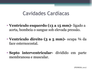 • Ventrículo esquerdo (13 a 15 mm)- ligado a
aorta, bombeia o sangue sob elevada pressão.
• Ventrículo direito (3 a 5 mm)- ocupa ¾ da
face esternocostal.
• Septo interventricular- dividido em parte
membranosa e muscular.
Cavidades Cardíacas
(PEDROSA, 2011)
 