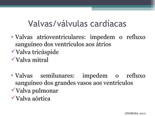 Valvas/válvulas cardíacas
• Valvas atrioventriculares: impedem o refluxo
sanguíneo dos ventrículos aos átrios
Valva tricúspide
Valva mitral
• Valvas semilunares: impedem o refluxo
sanguíneo dos grandes vasos aos ventrículos
Valva pulmonar
Valva aórtica
(PEDROSA, 2011)
 