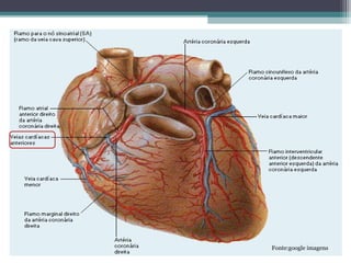 Fonte:google imagens
 