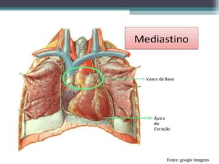 Fonte: google imagens
 