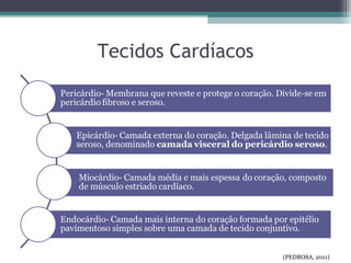 Tecidos Cardíacos
(PEDROSA, 2011)
 