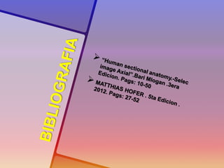 ANATOMÍA DE CABEZA EN TOMOGRAFÍA COMPUTADA 