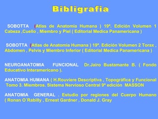Bibligrafia SOBOTTA   ( Atlas de Anatomía Humana ) 19ª. Edición Volumen 1 Cabeza ,Cuello , Miembro y Piel ( Editorial Medica Panamericana ) SOBOTTA   ( Atlas de Anatomía Humana ) 19ª. Edición Volumen 2 Torax , Abdomen , Pelvis y Miembro Inferior ( Editorial Medica Panamericana ) NEUROANATOMIA  FUNCIONAL   Dr.Jairo Bustamante B. ( Fondo Educativo Interamericano ). ANATOMIA HUMANA   ( H.Rouviere Descriptiva , Topográfica y Funcional  Tomo 3. Miembros. Sistema Nervioso Central 9ª edición  MASSON ANATOMIA  GENERAL   . Estudio por regiones del Cuerpo Humano ( Ronan O´Rabilly , Ernest Gardner , Donald J. Gray 