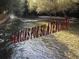 GRACIAS POR SU ATENCION¡ 