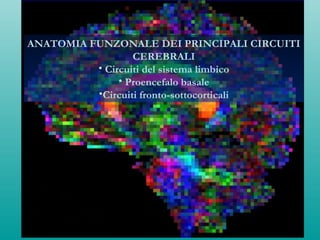 ANATOMIA FUNZONALE DEI PRINCIPALI CIRCUITI
CEREBRALI
• Circuiti del sistema limbico
• Proencefalo basale
•Circuiti fronto-sottocorticali
 