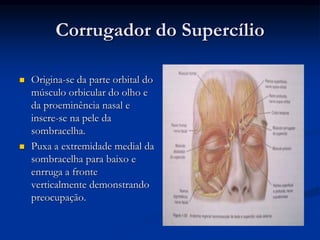 Corrugador do Supercílio
 Origina-se da parte orbital do
músculo orbicular do olho e
da proeminência nasal e
insere-se na pele da
sombracelha.
 Puxa a extremidade medial da
sombracelha para baixo e
enrruga a fronte
verticalmente demonstrando
preocupação.
 