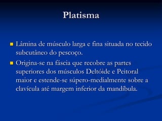 Platisma
 Lâmina de músculo larga e fina situada no tecido
subcutâneo do pescoço.
 Origina-se na fáscia que recobre as partes
superiores dos músculos Deltóide e Peitoral
maior e estende-se súpero-medialmente sobre a
clavícula até margem inferior da mandíbula.
 