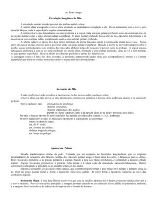 m. flexor longo.
Circulação Sangüínea da Mão
A circulação arterial da mão provém das artérias radial e ulnar.
A artéria ulnar acompanha o nervo ulnar situando-se medialmente em relação a ele. Passa juntamente com o nervo pelo
canal de Guyon, onde é superficial e sujeito a traumatismos.
A artéria ulnar segue lateralmente ao osso psiforme e a seguir emite umramo palmar profundo, antes de continuar através
da região palmar como o arco arterial palmar superficial. O ramo palmar profundo passa através dos músculos hipotênares e se
anastomosa coma artéria radial, completando assim o arco arterial palmar profundo.
A artéria radial é o menor dos dois ramos terminais da artéria braquial; sendo a continuação direta desse vaso . Pouco
antes de passar da face anterior para a posterior emite um ramo palmar superficial. Quando a artéria se curva dorsalmente so bre o
punho, segue profundamente aos tendões dos músculos abdutor longo do polegar e extensor curto do polegar. A seguir cruza a
tabaqueira anatômica e une-se ao ramo profundo da artéria ulnar, formando o arco palmar profundo, cerca de 1,5 a 2cm proximal
ao arco palmar superficial. Situa-se abaixo dos flexores profundo e acima dos interósseos.
A drenagem venosa é feita por dois sistemas, o profundo, representado pelas veias que acompanham as artérias e o sistema
superficial que inicia-se na face dorsal dos dedos e segue pela face dorsal da mão.
Inervação da Mão
A mão recebe inervação sensitiva e motora através dos nervos radial, mediano e ulnar.
O nervo ulnar, na mão inerva os mm. hipotênares, interósseos palmares e dorsais, dois lumbricais ulnares e m. adutor do
polegar.
Nervo mediano: mm: pronadores do antebraço
flexores do punho;
flexores extrínsecos dos dedos;
exceto: m. flexor ulnar do carpo e da metade ulnar do m. flexor profundo dos dedos.
Na mão, a função motora do nervo mediano fica restrita aos músculos tênares, 1º. e 2º. lumbricais.
O nervo radial inerva todos os músculos extensores e supinadores do antebraço:
extensor ulnar do carpo;
ext. do 5º. dedo;
ext. comum dos dedos;
abdutor longo do polegar;
ext. longo do polegar.
Aponeurose Palmar
Situada imediatamente abaixo da pele. Formada por um conjunto de fascículos longitudinais que se originam
proximalmente do retináculo dos flexores, tendão dos músculo palmar longo e flexor ulnar do carpo, e dirigem-se para os dedos.
Estes fascículos prendem-se às pregas palmares e digitais fixando a pele aos planos profundos, estabilizando-a durante a flexão
digital. Alguns fascículos prendem-se à primeira polia anular e à placa volar da articulação metacarpofalangeana. Outros
contornama articulação e prendem-se ao aparelho extensor dos dedos.
Existem 2 conjuntos de fascículos transversais, que contribuem para formar o arco transverso palmar, o primeiro situa-se
ao nível da prega palmar distal e forma o ligamento transverso palmar. O outro forma o ligamento natatório ao nível das
comissuras digitais.
Retináculo Flexor: é uma faixa fibrosa transversa que une os tendões flexores dos 5 dedos, comsuas bainhas sinoviais e
o nervo mediano. Possui 4 inserções principais: a margem proximal estende-se do tubérculo do escafóide ao piramidal e psiforme,
e a margem distal estende-se do tubérculo do trapézio até o hámulo do hamato.
 