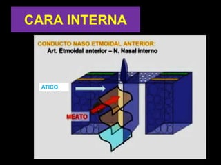 CARA INTERNA
ATICO
 