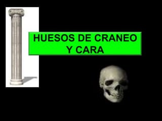 HUESOS DE CRANEO
Y CARA
 