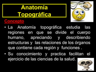 Anatomía
Topográfica
Concepto
• La Anatomía topográfica estudia las
regiones en que se divide el cuerpo
humano, apreciando y describiendo
estructuras y las relaciones de los órganos
que contiene cada región y funciones .
• Su conocimiento y practica facilitan el
ejercicio de las ciencias de la salud.
 