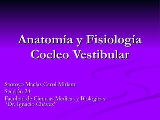 Anatomía y Fisiología Cocleo Vestibular Santoyo Macías Carol Miriam Sección 24 Facultad de Ciencias Medicas y Biológicas “Dr. Ignacio Chávez” 