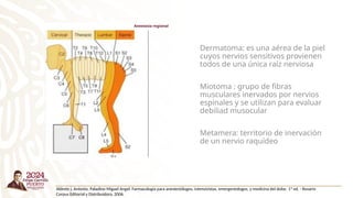 ANATOMIA columna vertebralespecificaciones especiales .pptx