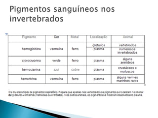 Pigmentos sanguíneos nos invertebrados