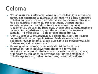 Nos animais mais inferiores, como celenterados (águas-vivas ou corais, por exemplo), a gástrula só desenvolve os dois primeiros folhetos embrionários — o ectoderma e o endoderma. Não há a fase de gástrula tridérmica. Por essa razão, o corpo desses animais, mesmo nos adultos, tem apenas duas camadas fundamentais de células. Entre elas, ocorre uma camada mediana de substância gelatinosa, com células móveis; porém essa camada — a mesogléia— é de origem endodérmica.Animais com essa organização tão elementar são classificados como diblásticos ou diploblásticos. Evidentemente, não poderiam revelar celoma, já que este nasce do mesoderma. São obviamente, animais acelomados.Na sua grande maioria, os animais são triploblásticos e celomados, isto é, desenvolvem, durante a formação em­brionária, o terceiro folheto — o mesoderma —, e, depois, organizam as células mesodérmicas em folheto somático e folheto esplâncnico, delimitando o surgimento do celoma.Celoma