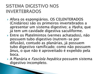 Afora os espongiários. OS CELENTERADOS (Cnidários) são os primeiros invertebrados a apresentar um sistema digestivo; a Hydra, que já tem um cavidade digestiva saculiforme.Entre os Platelmintos (vermes achatados), não possuem tubo digestivo (nutrem-se por difusão), contudo as planárias, já possuem tubo digestivo ramificado; como não possuem ânus, o que não é aproveitado é expelido pela boca.A Planária e Fascíola hepática possuem sistema digestivo incompleto.SISTEMA DIGESTIVO NOS INVERTEBRADOS