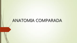 ANATOMIA COMPARADA
 