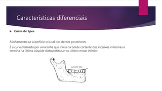 Características diferenciais
 Curva de Spee
Alinhamento da superfície oclusal dos dentes posteriores
É a curva formada por uma linha que inicia na borda cortante dos incisivos inferiores e
termina na última cúspide distovestibular do último molar inferior
 