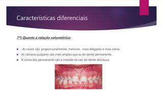 Características diferenciais
7º) Quanto á relação volumétrica:
 -As raízes são, proporcionalmente, menores , mais delgadas e mais claras.
 As câmaras pulpares são mais amplas que as do dente permanente.
 A coroa dos permanente são a metade da raíz do dente decíduos.
 