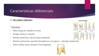 Características diferenciais
8º) De ordem radicular:
* Decíduos:
• Mais longa em relação à coroa
• Ampla, cônica e estreita
• Dentes anteriores: desvio para vestibular
• Dentes posteriores: grande divergência e curvatura – atenção exodontia
• Sofre rizólise (nem sempre é homogênea)
 