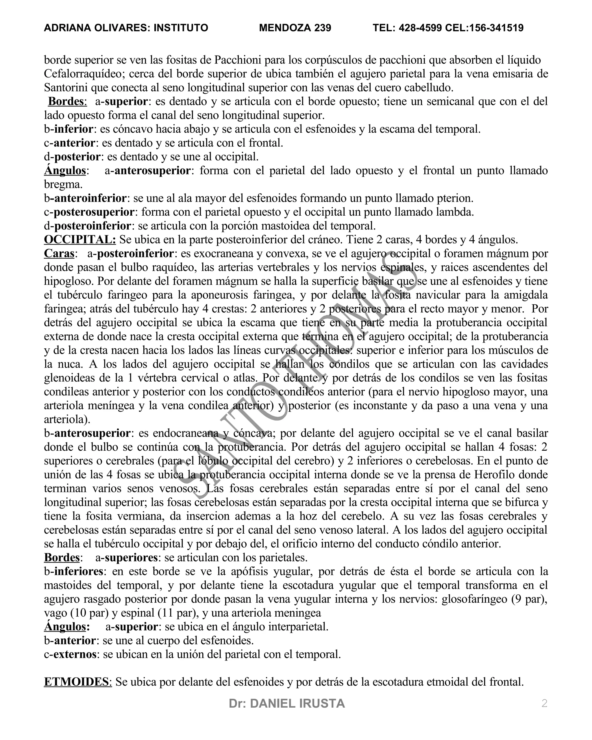 ANATOMIA PDF GRATIS visual data 5