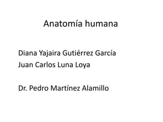 Anatomía humana
Diana Yajaira Gutiérrez García
Juan Carlos Luna Loya
Dr. Pedro Martínez Alamillo
 
