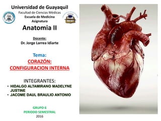 Universidad de Guayaquil
Facultad de Ciencias Médicas
Escuela de Medicina
Asignatura
Anatomia II
Docente:
Dr. Jorge Larrea Idiarte
Tema:
CORAZÓN:
CONFIGURACION INTERNA
INTEGRANTES:
• HIDALGO ALTAMIRANO MADELYNE
JUSTINE
• JACOME DAUL BRAULIO ANTONIO
GRUPO 6
PERIODO SEMESTRAL
2016
 