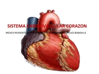 SISTEMA CARDIOVASCULAR CORAZON
MEDICO RESIDENTE DE PRIMER AÑO ZUHLY ESTHEFANI RODRIGUEZ BOBADILLA
 