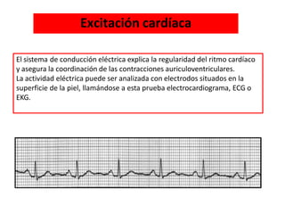 Excitación cardíaca
El sistema de conducción eléctrica explica la regularidad del ritmo cardíaco
y asegura la coordinación de las contracciones auriculoventriculares.
La actividad eléctrica puede ser analizada con electrodos situados en la
superficie de la piel, llamándose a esta prueba electrocardiograma, ECG o
EKG.
 