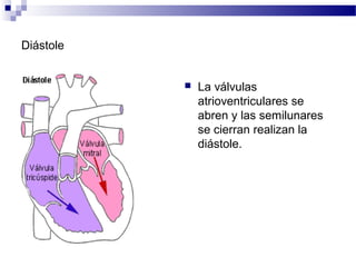 Diástole
 La válvulas
atrioventriculares se
abren y las semilunares
se cierran realizan la
diástole.
 