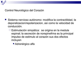 Control Neurológico del Corazón
 Sistema nervioso autónomo: modifica la contractilidad, la
deporalizacion/repolarizacion, asi como la velocidad de
conducción.
 Estimulación simpática: se origina en la medula
espinal; la secreción de norepinefrina es la principal
impulso de estimulo al corazón sus dos efectos
incluyen
 Adrenérgico alfa
 