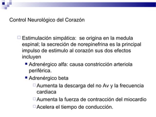 Control Neurológico del Corazón
 Estimulación simpática: se origina en la medula
espinal; la secreción de norepinefrina es la principal
impulso de estimulo al corazón sus dos efectos
incluyen
 Adrenérgico alfa: causa constricción arteriola
periférica.
 Adrenérgico beta
 Aumenta la descarga del no Av y la frecuencia
cardiaca
 Aumenta la fuerza de contracción del miocardio
 Acelera el tiempo de conducción.
 