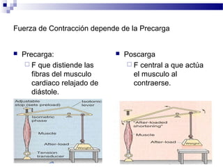 Fuerza de Contracción depende de la Precarga
 Precarga:
 F que distiende las
fibras del musculo
cardiaco relajado de
diástole.
 Poscarga
 F central a que actúa
el musculo al
contraerse.
 