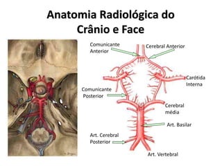 Anatomia Radiológica do
Crânio e Face
Carótida
Interna
Cerebral
média
Art. Vertebral
Cerebral AnteriorComunicante
Anterior
Comunicante
Posterior
Art. Cerebral
Posterior
Art. Basilar
 