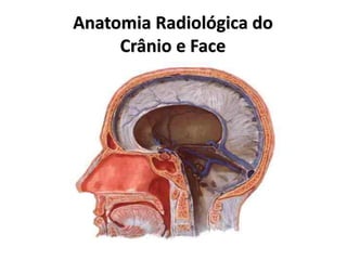 Anatomia Radiológica do
Crânio e Face
 