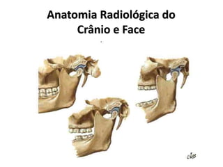 Anatomia Radiológica do
Crânio e Face
 