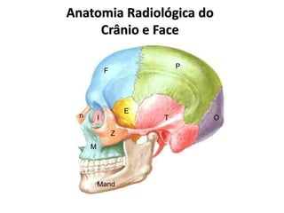 Anatomia Radiológica do
Crânio e Face
F
P
OT
E
Z
M
Mand
n l
 