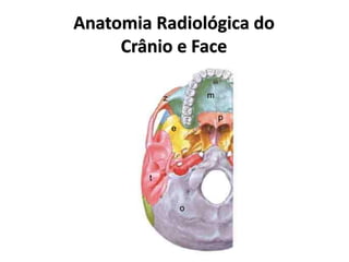 Anatomia Radiológica do
Crânio e Face
m
t
o
e
p
z
 