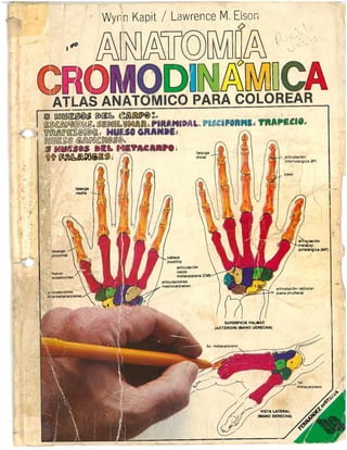ANATOMIA CROMODINAMICA ATLAS ANATOMICO PARA COLOREAR-KAPIT-ELSON.pdf