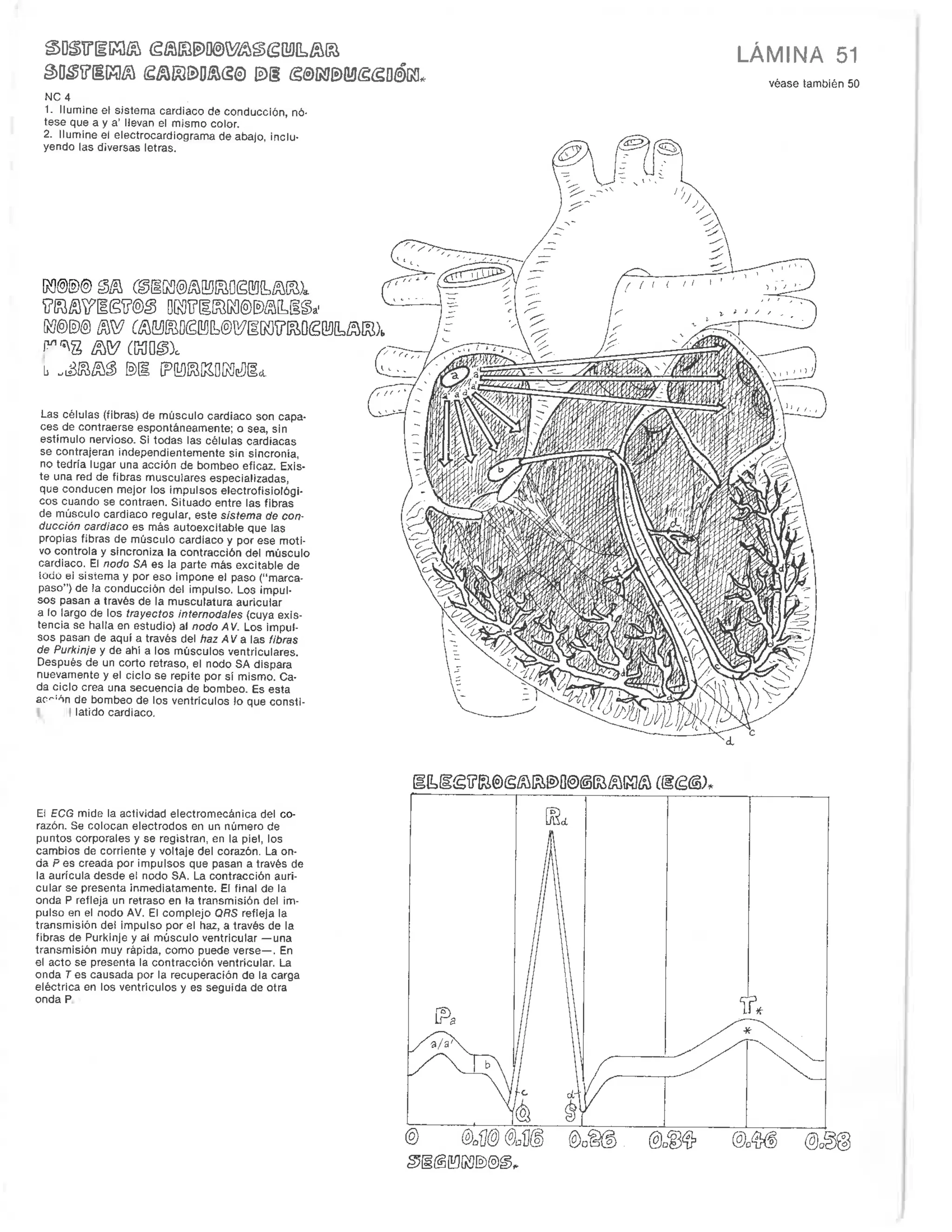 class 6 bangla guide book 2025 pdf
