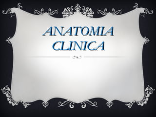 ANATOMIA CLINICA 