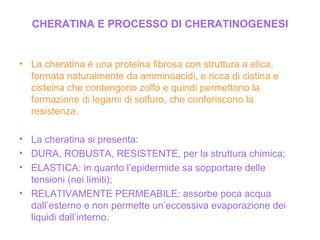 CHERATINA E PROCESSO DI CHERATINOGENESI La cheratina è una proteina fibrosa con struttura a elica, formata naturalmente da amminoacidi, e ricca di cistina e cisteina che contengono zolfo e quindi permettono la formazione di legami di solfuro, che conferiscono la resistenza. La cheratina si presenta: DURA, ROBUSTA, RESISTENTE, per la struttura chimica; ELASTICA: in quanto l’epidermide sa sopportare delle tensioni (nei limiti); RELATIVAMENTE PERMEABILE: assorbe poca acqua dall’esterno e non permette un’eccessiva evaporazione dei liquidi dall’interno. 