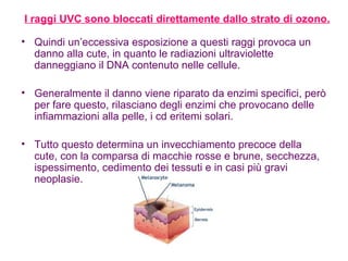 I raggi UVC sono bloccati direttamente dallo strato di ozono. Quindi un’eccessiva esposizione a questi raggi provoca un danno alla cute, in quanto le radiazioni ultraviolette danneggiano il DNA contenuto nelle cellule. Generalmente il danno viene riparato da enzimi specifici, però per fare questo, rilasciano degli enzimi che provocano delle infiammazioni alla pelle, i cd eritemi solari. Tutto questo determina un invecchiamento precoce della cute, con la comparsa di macchie rosse e brune, secchezza, ispessimento, cedimento dei tessuti e in casi più gravi neoplasie. 