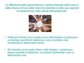 La differenza della pigmentazione cutanea dipende dalla razza e dalla natura chimica della melanina prodotta e dalla sua capacita di trasferimento nelle cellule dell’epidermide. Infatti gli individui con la pelle scura detti fototipo 4 producono un’elevata quantità di melanina e non si scottano mai nonostante si abbronzano tanto; Gli individui con la pelle chiara, detti fototipo 1 producono basse quantità di melanina, si scottano facilmente e non si abbronzano mai. 